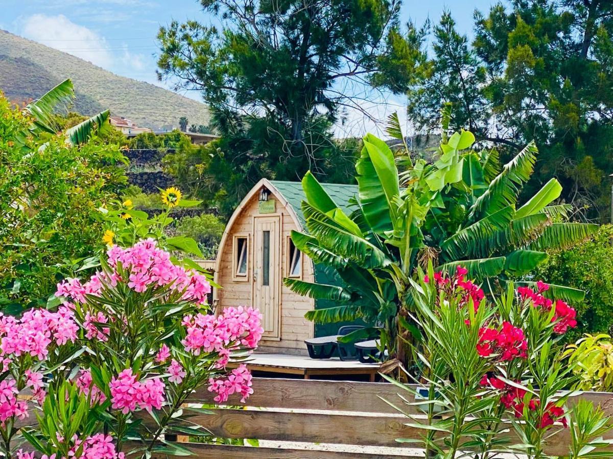 Amani Suite Con Jacuzzi Climatizado Y Piscina Buzanada Exterior photo
