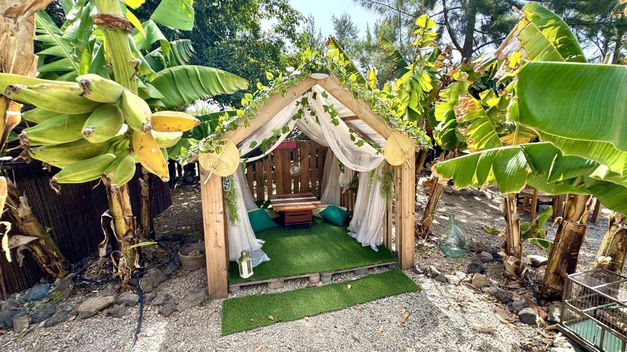 Amani Suite Con Jacuzzi Climatizado Y Piscina Buzanada Exterior photo